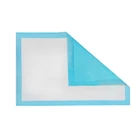 Kép 3/6 - 50 DB eldobható szuper abszorbens alátét