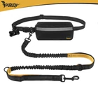 Kép 13/15 - Deréköv pórázzal