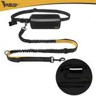 Kép 14/15 - Deréköv pórázzal