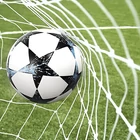 Kép 5/9 - Trizand futballkapu háló