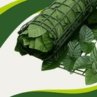 Kép 10/18 - Műsövény erkélyre 5x0,5m