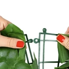 Kép 17/18 - Műsövény erkélyre 5x0,5m