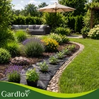 Kép 2/13 - Fekete talajtakaró