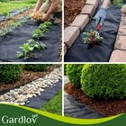 Kép 13/13 - Fekete talajtakaró