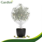 Kép 14/17 - Virágágyásvédő háló 3x6m-es