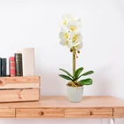 Kép 1/2 - Műnövény dekoráció - orchidea - fehér - 48 cm