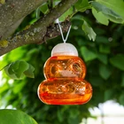 Kép 1/2 - Rovarcsapda - 13 x 15 cm