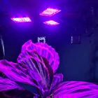 Kép 13/14 - 108 LED-es palántanövesztő lámpa - 3 szárnyú