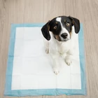 Kép 13/18 - 100 db abszorbens alátét kutyapiszokzsákkal (60x60cm)