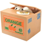 Kép 1/10 - Interaktív malacpersely cica - érmés tolvaj