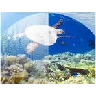 Kép 7/12 -  Snorkel búvármaszk kamera tartóval S/M