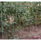 Kép 8/10 - Hálós növénytámasz 2x10m 