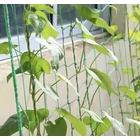 Kép 7/10 - Hálós növénytámasz 2x10m 