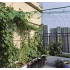 Kép 9/10 - Hálós növénytámasz 2x10m 