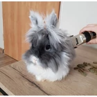 Kép 8/10 - Kutyaszőr vágó szett