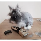 Kép 9/10 - Kutyaszőr vágó szett