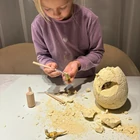 Kép 15/15 - Dinoszaurusz tojás