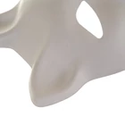 Kép 6/15 - DIY macska álarc készítő