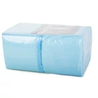 Kép 6/10 - Szobatisztasági szőnyeg kutyáknak 60x60 - 40db
