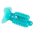 Kép 9/10 - Kaktusz fogkefe kutyáknak