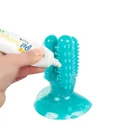 Kép 2/10 - Kaktusz fogkefe kutyáknak