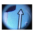 Kép 3/3 - Zsebmikroszkóp 60x, 2 LED