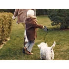 Kép 4/15 - Automata kutyapóráz, 5m, 15 kg