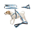 Kép 2/10 - Kutyahám, kicsi, 124 cm