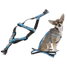 Kép 4/10 - Kutyahám, kicsi, 124 cm