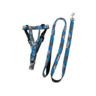 Kép 5/10 - Kutyahám, kicsi, 124 cm