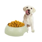 Kép 4/10 - Nagy fém etetőtál, 1200 ml