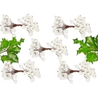 Kép 9/10 - Karácsonyi dekoráció, fehér galagonya, 5 db