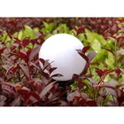 Kép 9/10 - 4x napelemes kerti lámpa, fehér, 10cm