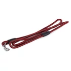 Kép 3/3 - Kutyapóráz