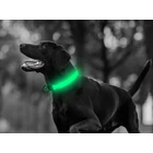 Kép 9/9 - Led világító nyakörv 