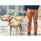 Kép 4/10 - Led nyakörv