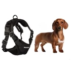 Kép 10/10 - Hám kisméretű kutyáknak