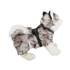 Kép 8/10 - Hám kisméretű kutyáknak