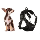 Kép 10/10 - Kutya hám