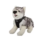 Kép 8/10 - Kutya hám