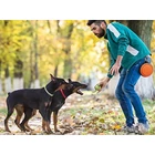 Kép 5/9 - Összecsukható utazótál kutyáknak, narancs, 800 ml