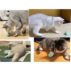 Kép 7/10 - Mozgó labda kutyáknak és macskáknak távirányítóval