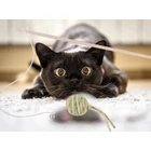 Kép 6/10 - Papírlabda csörgő macskajáték