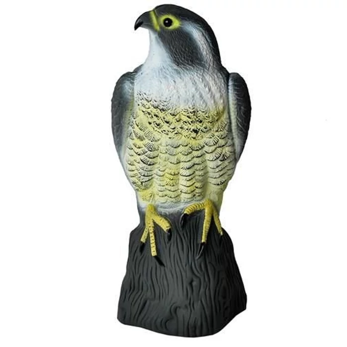 Sólyom madárijesztő