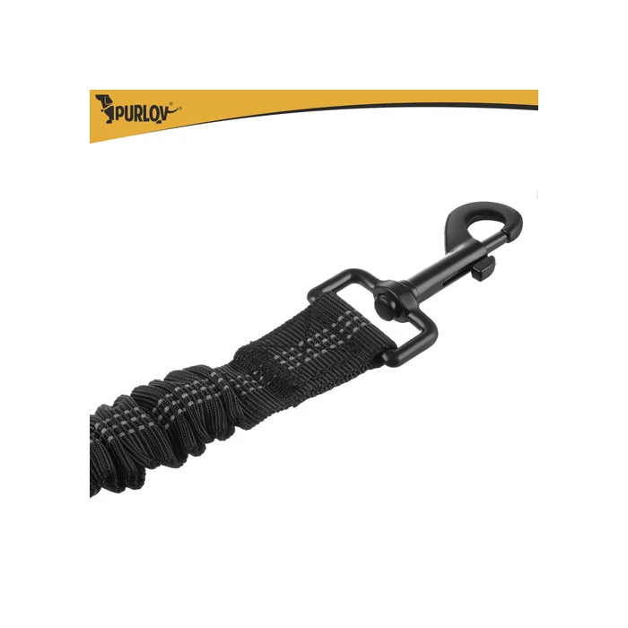 Deréköv pórázzal