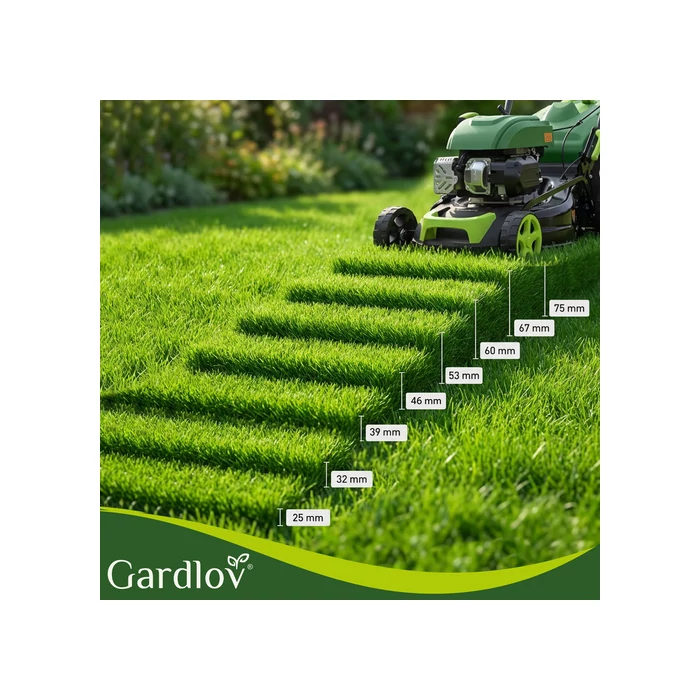 Benzinmotoros fűnyíró 3,4 kW