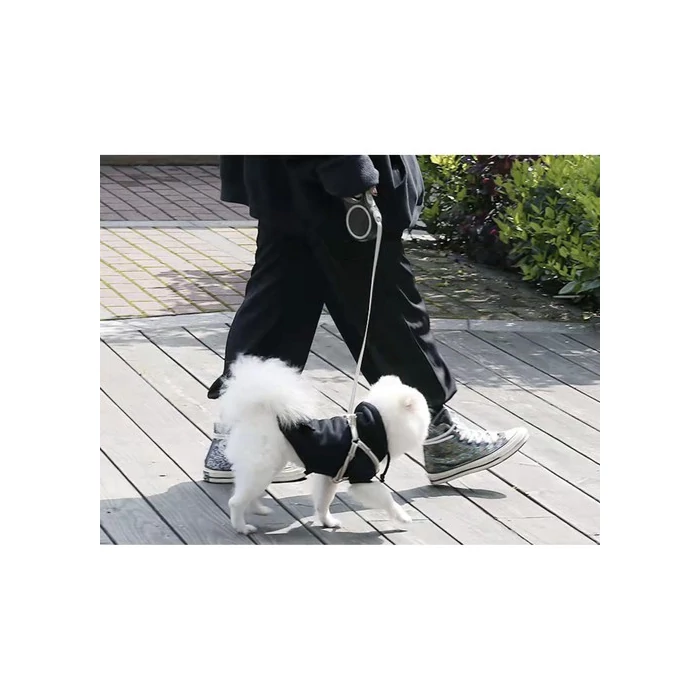 Automata kisállat póráz 5m/15kg