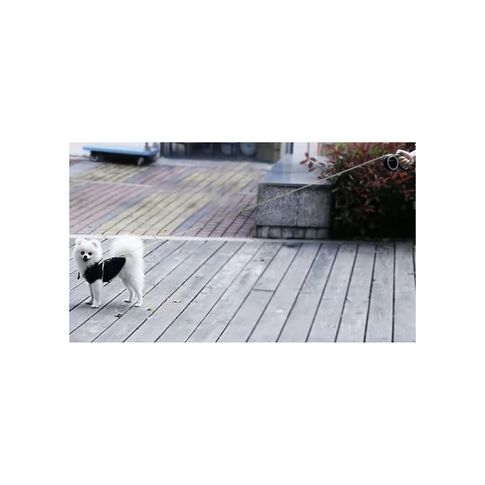 Automata kisállat póráz 5m/15kg