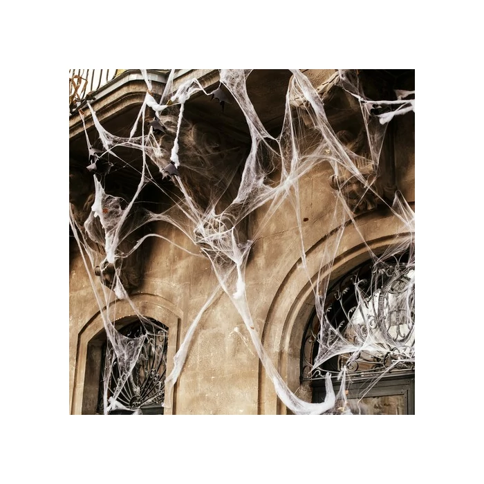 Mesterséges pókháló 2 műanyag pókkal