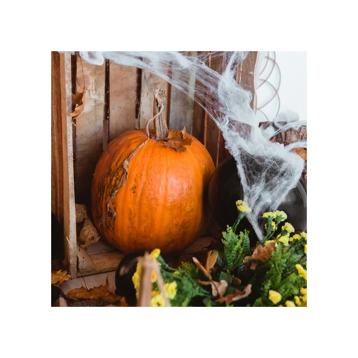 Mesterséges pókháló 2 műanyag pókkal